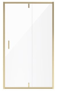 Душевая дверь Niagara NG-43-12AG 120см золото/прозрачное